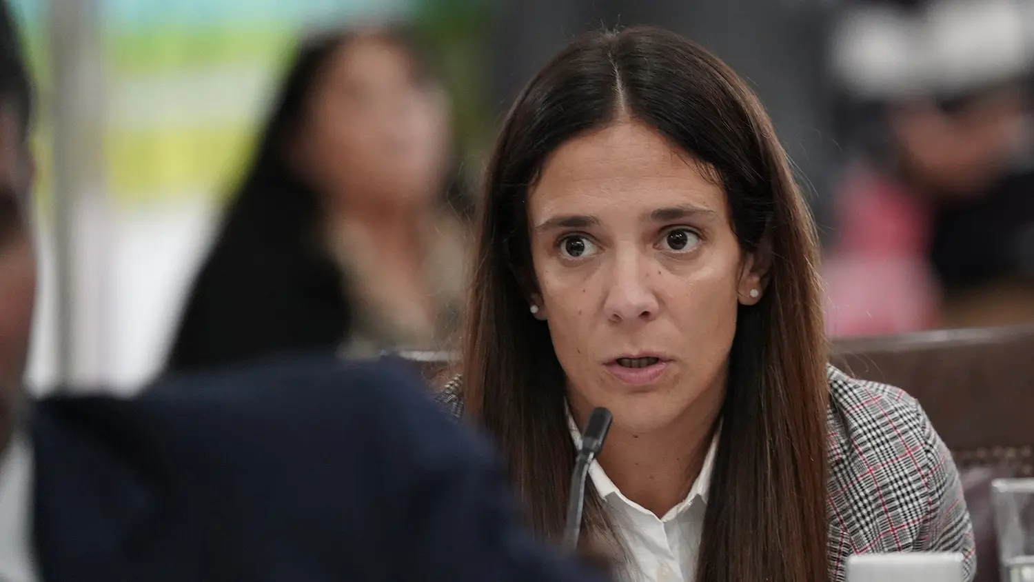 Eugenia Vallota. Concejala del PRO