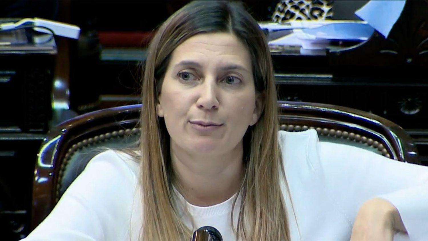 Ley Bases aprobada en Diputados: “Los argentinos decidieron sacrificarse para sacar este país adelante”, dijo Lospennato