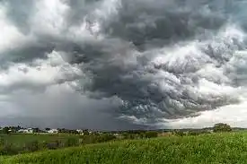 Las lluvias superaron lo previsto y mejoran las expectativas para el trigo y el maíz