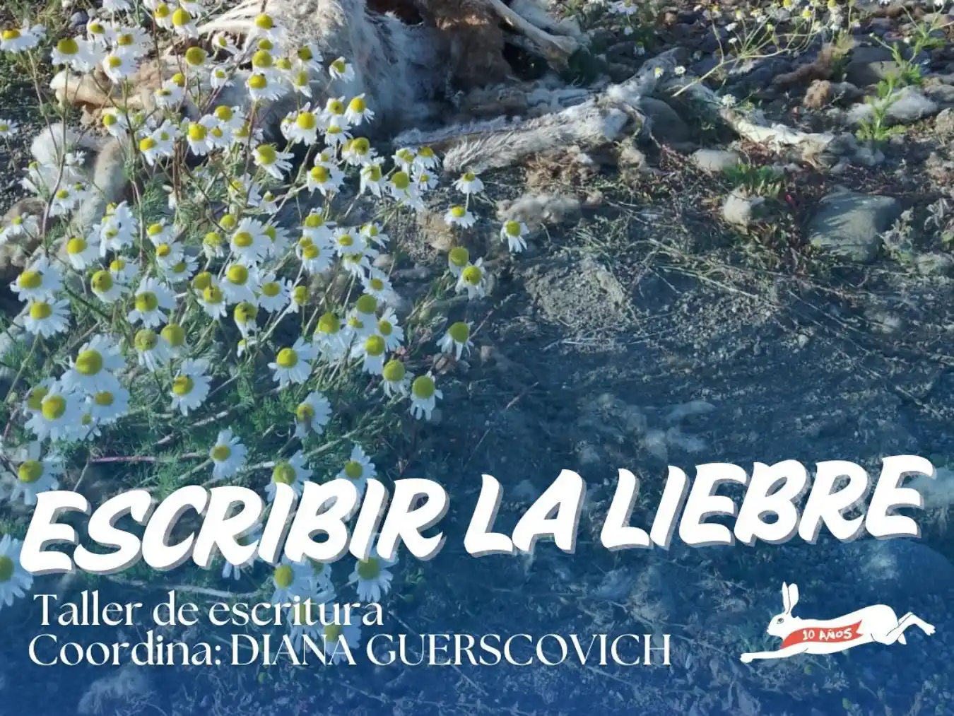 Liebre de Marzo abre inscripciones para sus talleres de abril