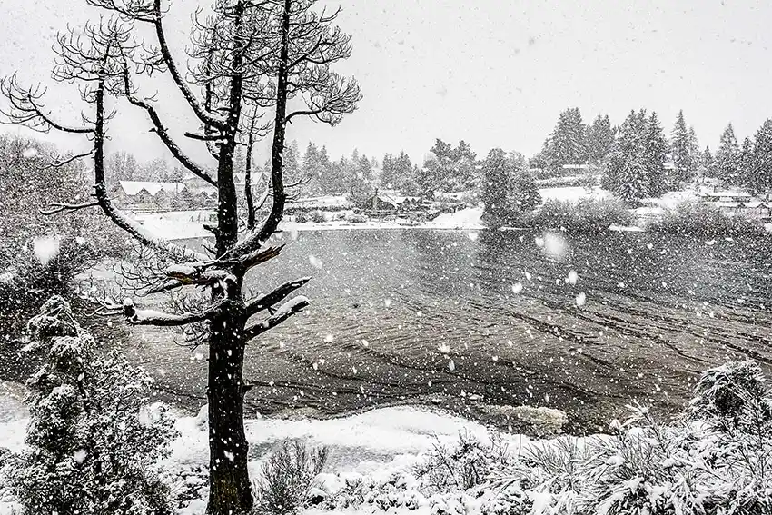 Fotógrafo de Villa Elisa fue premiado por el Instituto Geográfico Nacional