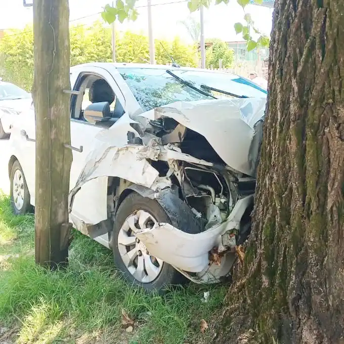 Un automóvil despistó e impactó contra un árbol