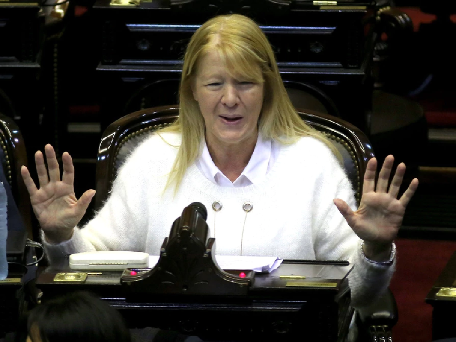 Stolbizer puso en duda "las capacidades" de los funcionarios
