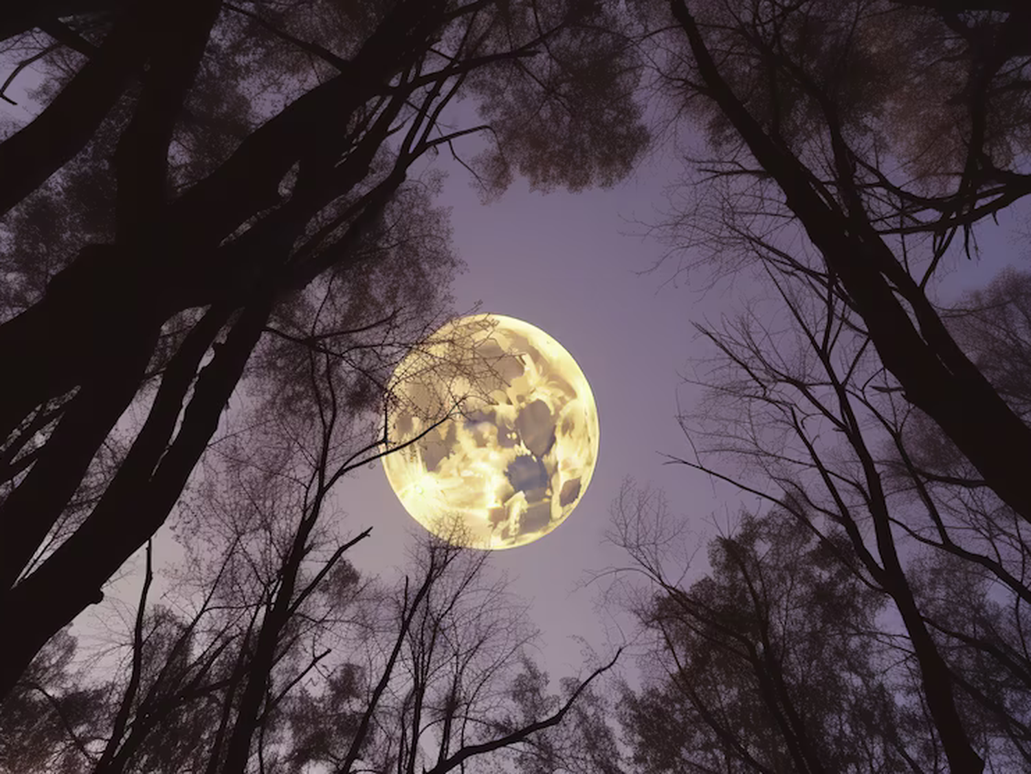 Luna llena del 9 de agosto: dónde y cómo verla mejor