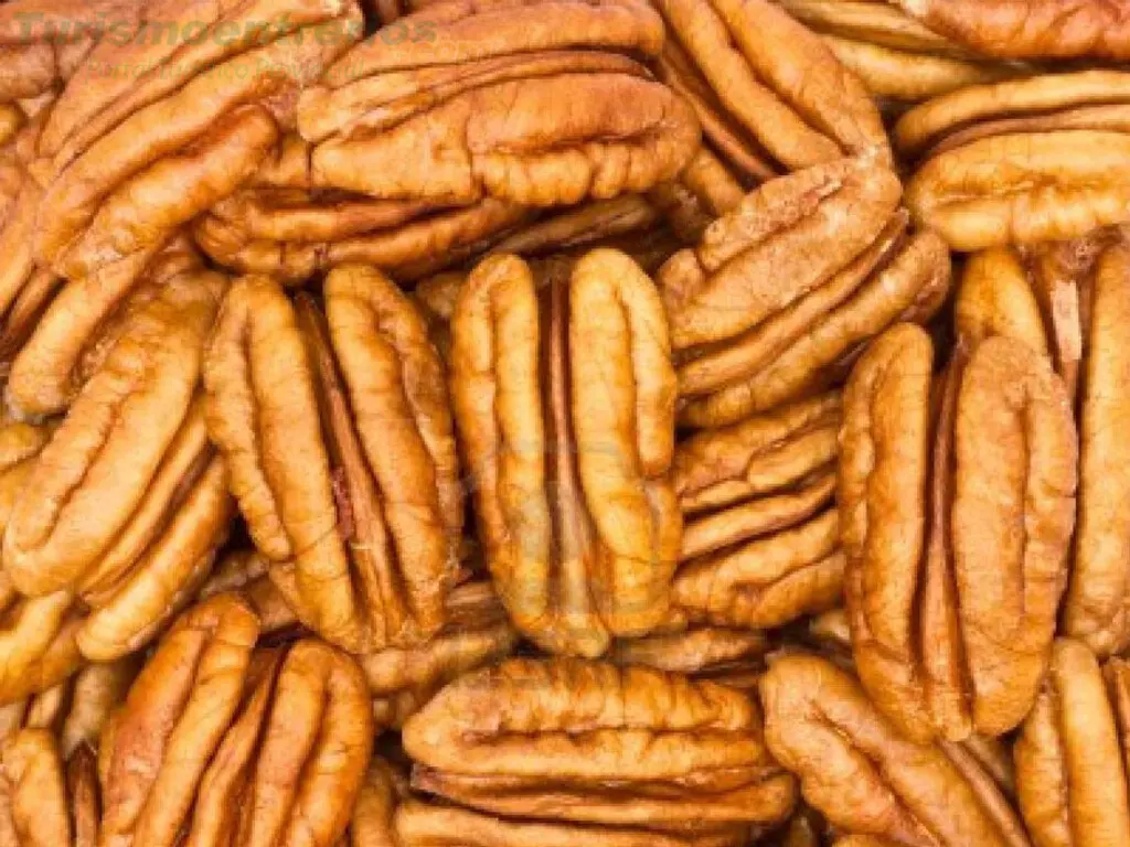 Provincia impulsa la producción de nueces pecán
