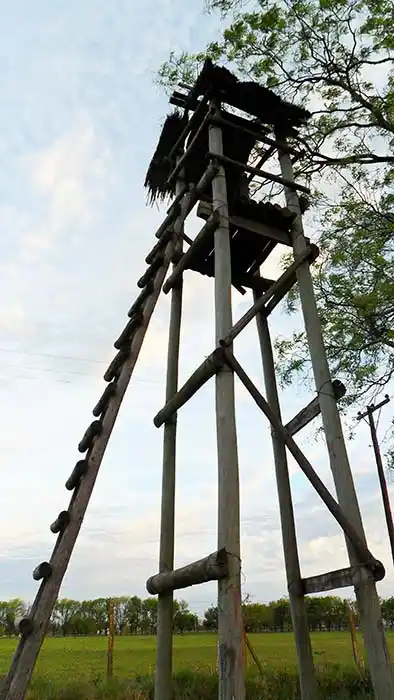 Los apuros de la víspera   