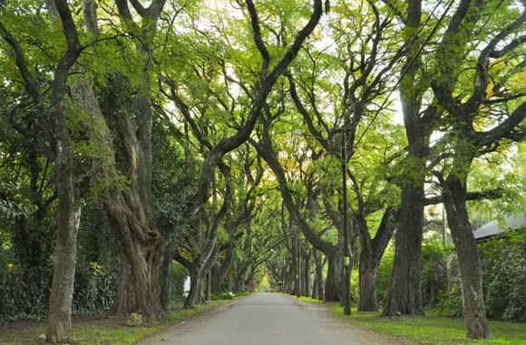 El Municipio relanzó la campaña "Ituzaingó Más Limpio"
