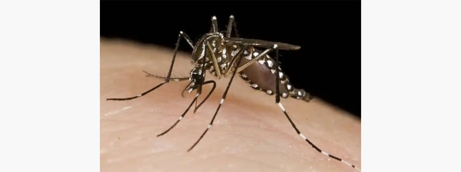 Según el Ministerior de Salud de la Nación, se registraron 129 muertes.