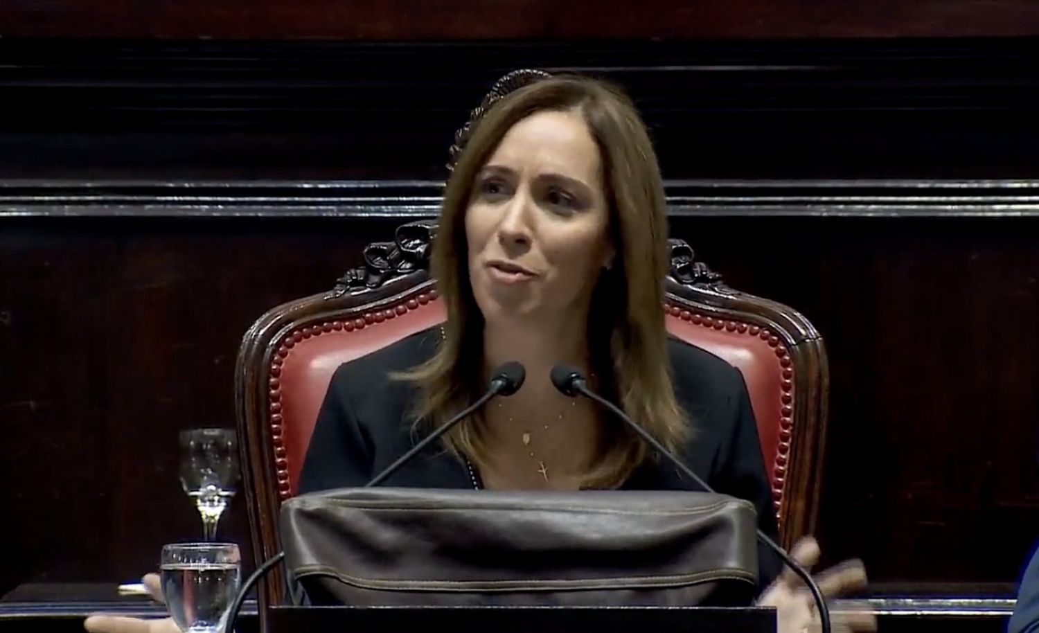 EN VIVO - María Eugenia Vidal inicia el periodo de sesiones ordinarias en la Legislatura bonaerense