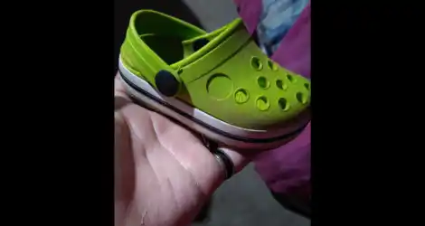 Croc perdida