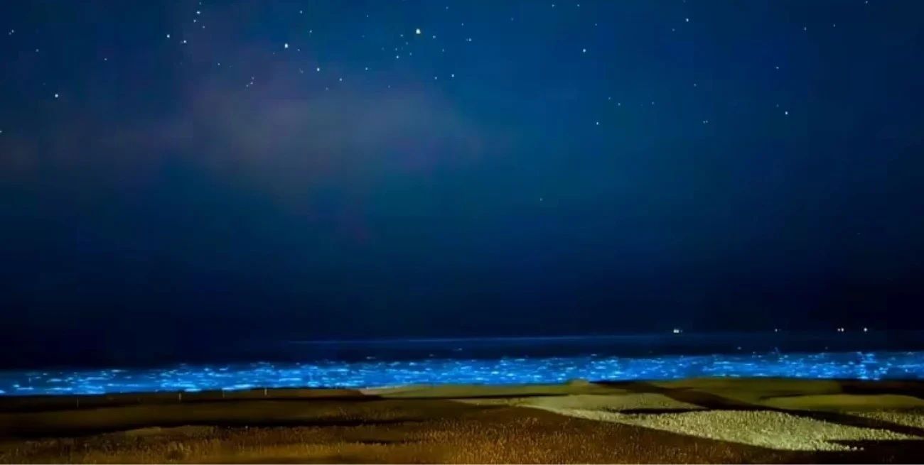 Así lucían las "luces" celestes. Crédito: @The_View_Of_Leo