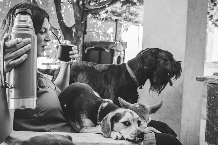Al cuidado del mejor amigo del ser humano: la historia de Eva, una rescatista de perros rafaelina