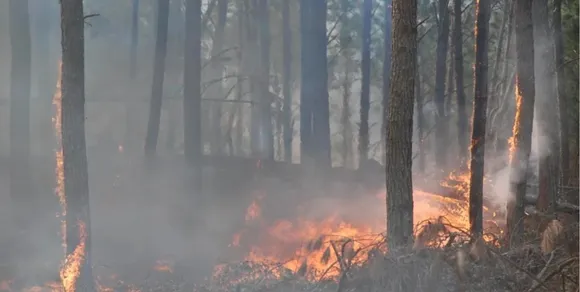 Alerta ambiental en la provincia de Córdoba: prohíben encender fuego en espacios públicos hasta fin de año