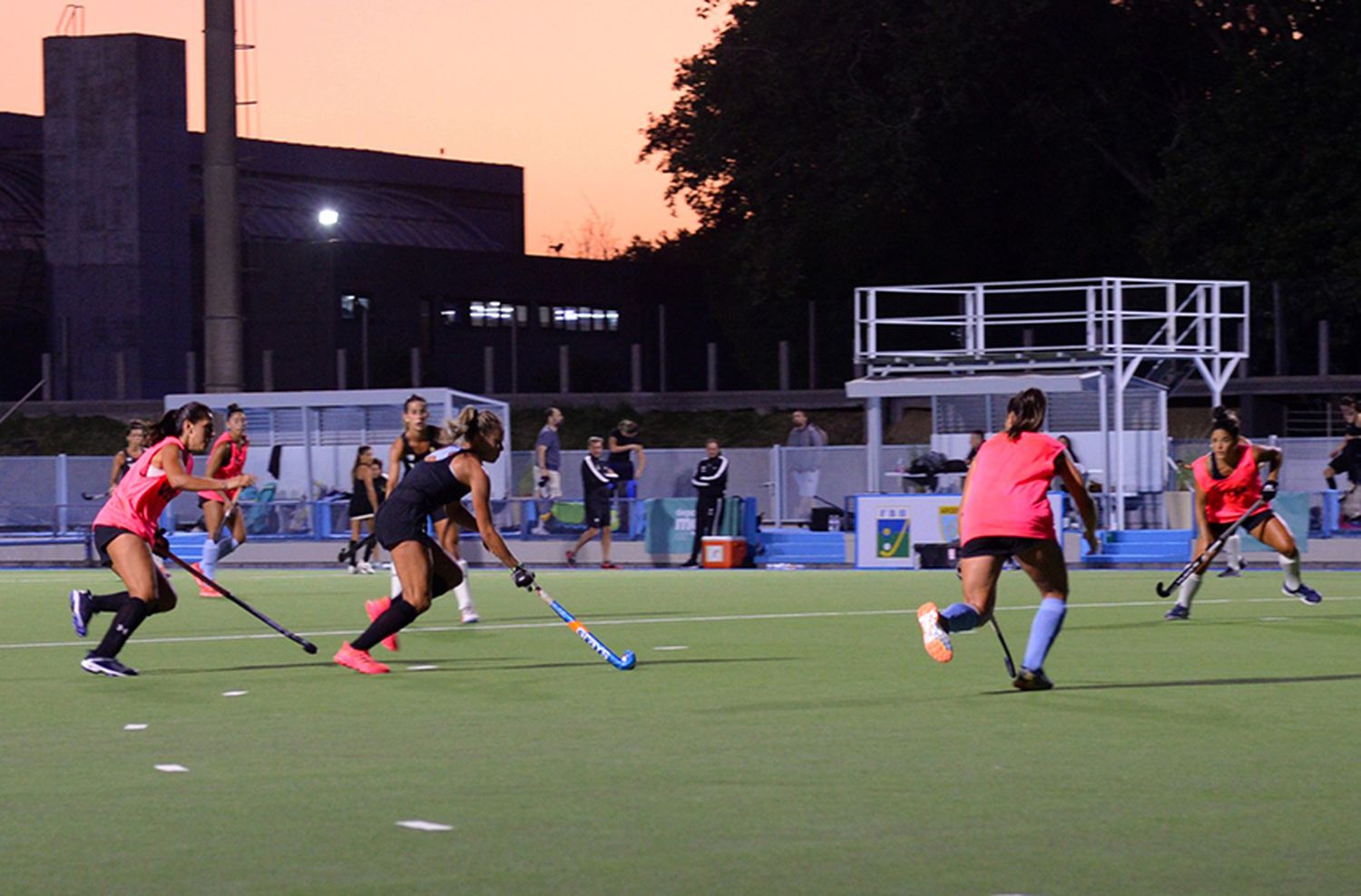 Las Leonas jugarán cuatro amistosos en Mar del Plata