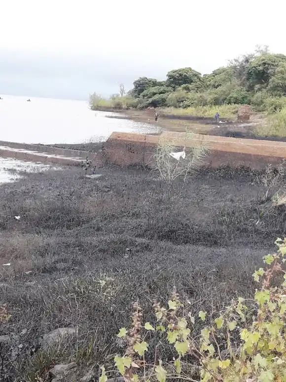 Una mancha viscosa de combustible o aceites, fue detectada a orillas del río Uruguay