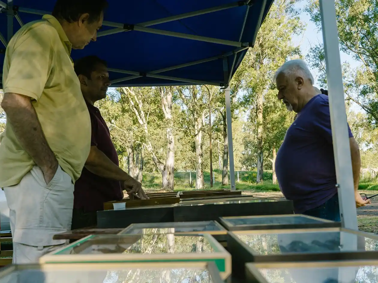 Minuanes: Exitosa exposición de fósiles y entomología