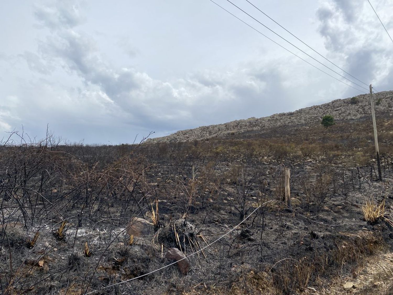 La Usina repara el alumbrado tras el voraz incendio en las sierras
