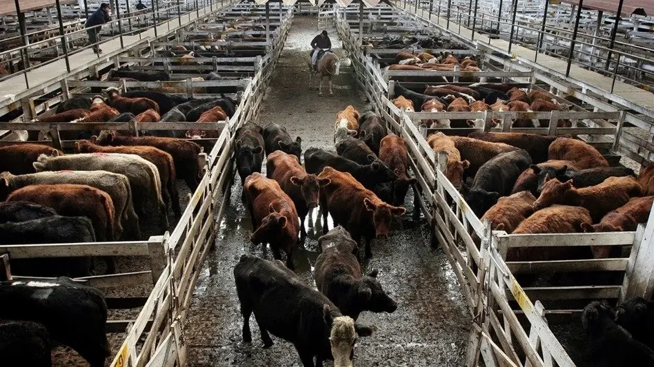 "Pese a los anuncios, el lunes volvió a aumentar la carne"