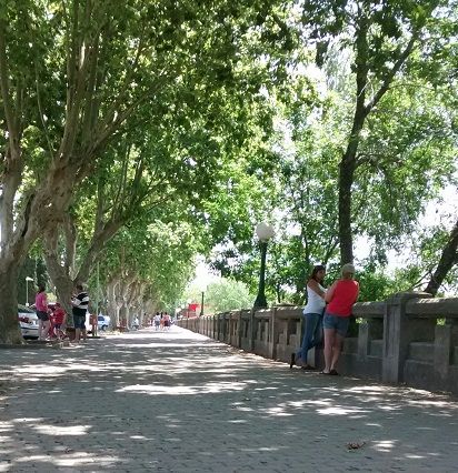 Empieza un fin de semana con buen clima y máximas de verano