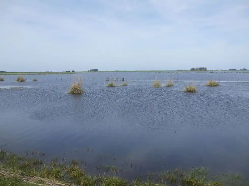 Inundaciones: Entidades rurales del oeste bonaerense preocupadas por la demora en llegada de beneficios