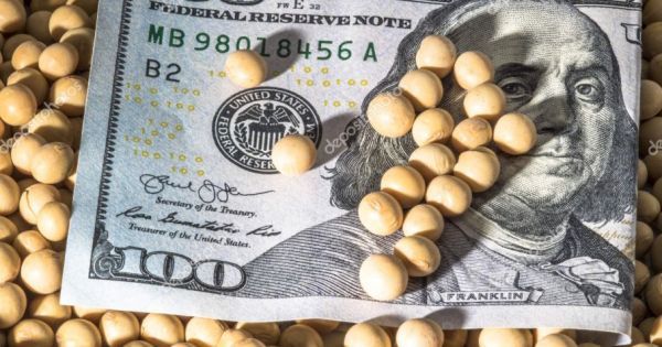 Fue el mejor julio de la historia en liquidación de divisas