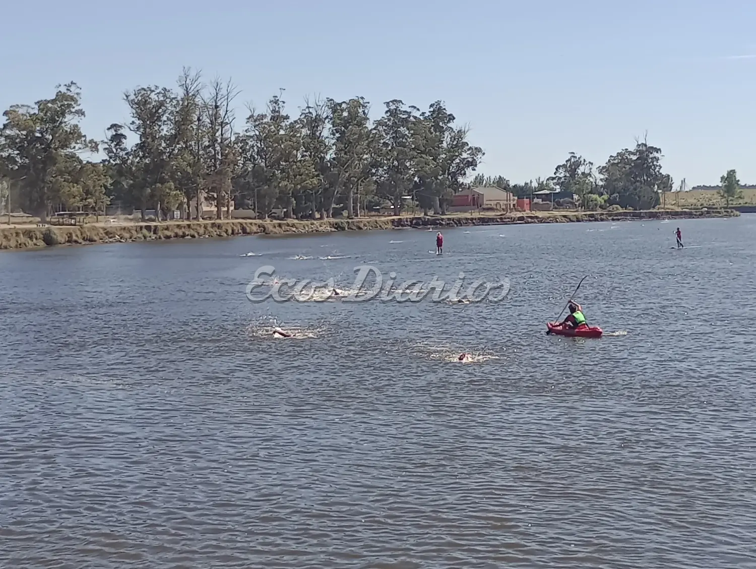 Aguas abiertas (archivo)