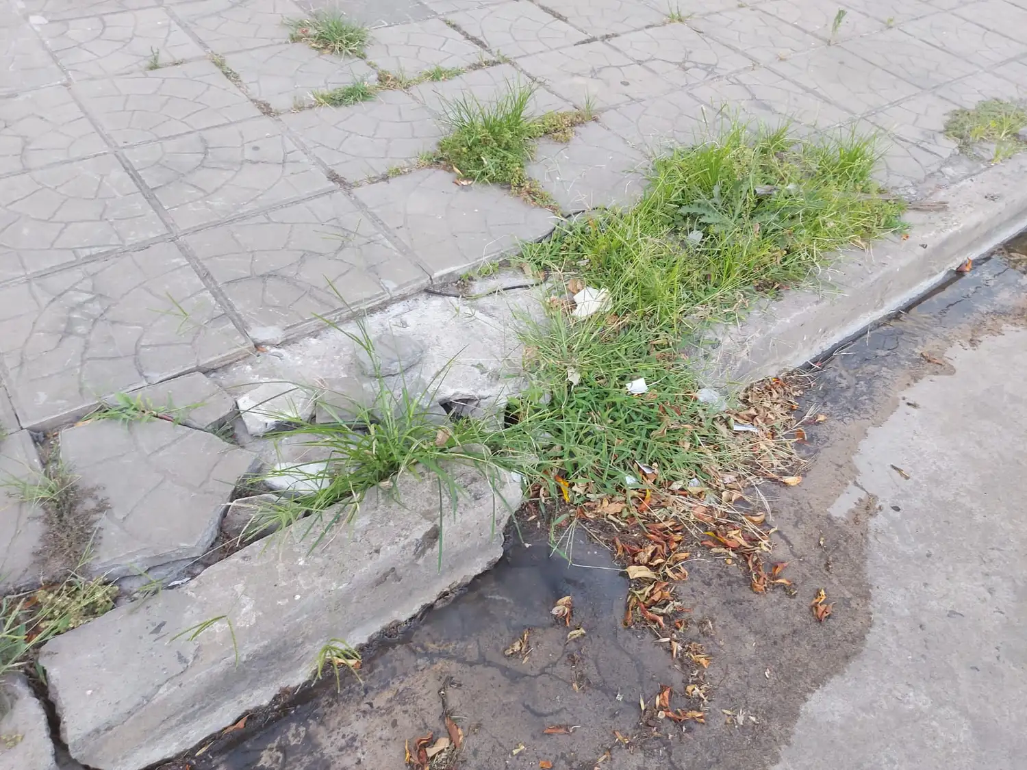 Vereda Ministerio Trabajo