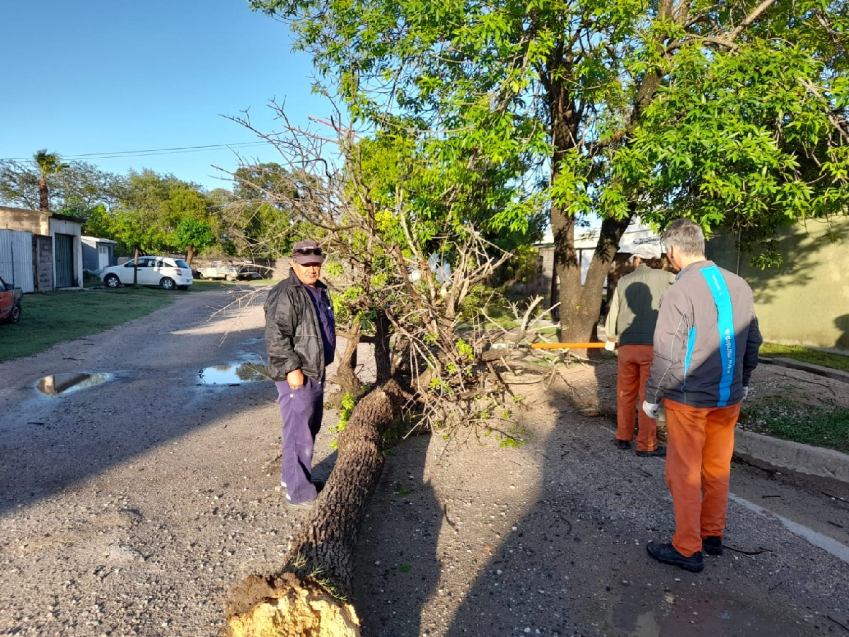 Arroyito: municipio trabaja para  reparar los daños de la tormenta 