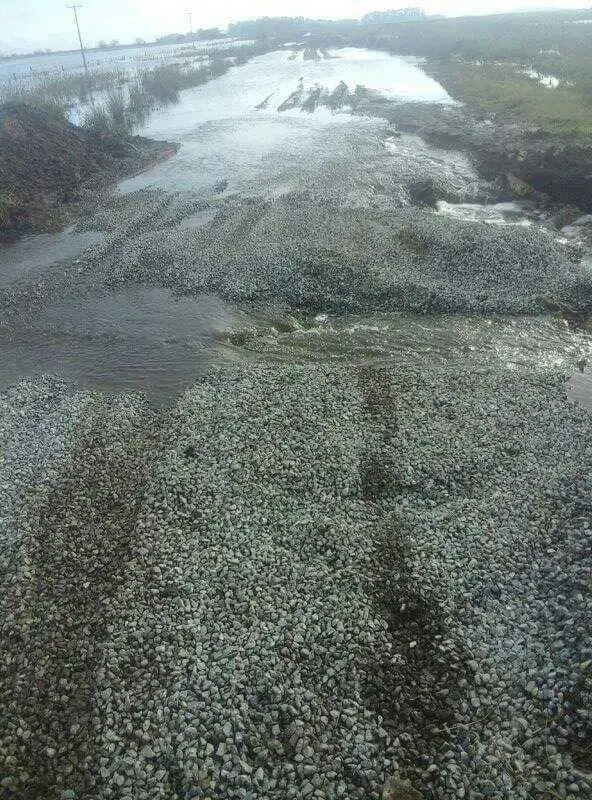 Tuvo que bajar la  producción por el mal estado de los caminos rurales