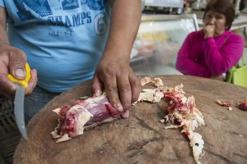 Suspendieron una granja porcina por contaminación en Yucatán