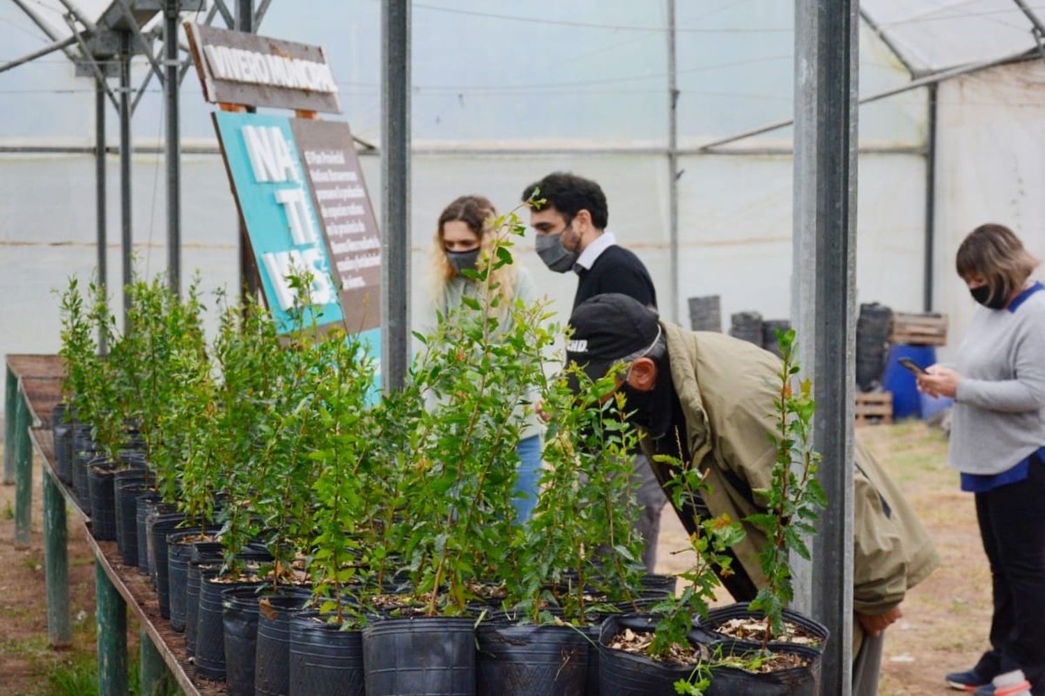 Plan Nativas Bonaerenses: entrega de insumos al Vivero Municipal de Baradero