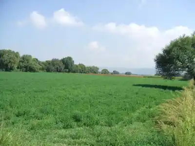 Procrear: Alto costo de terrenos complica construcción de viviendas con créditos