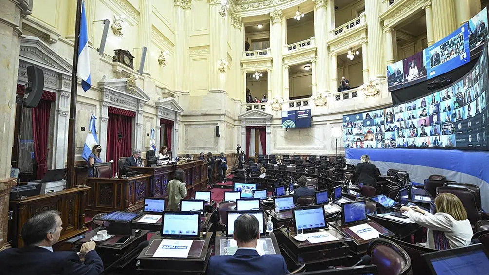 Aborto: El 29 de diciembre el Senado define la legalización de la ley