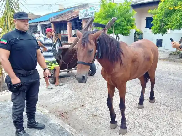Además circulaba por la zona restringida