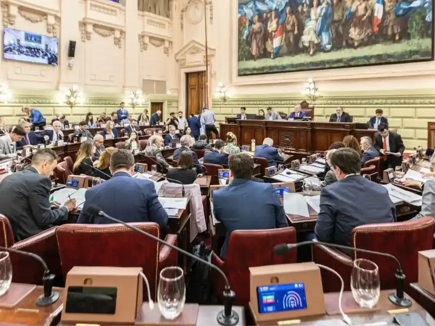 Iniciativa Popular, Referéndum y Revocatoria de Mandatos fueron aprobados.