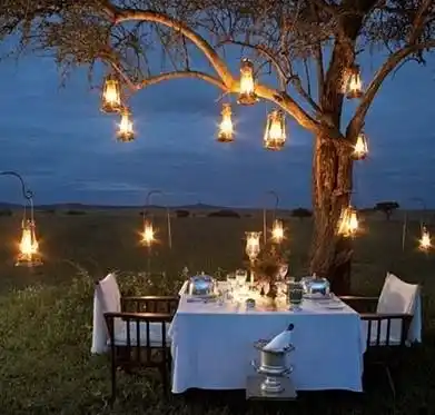 Noches de fiesta y cenas en el jardín