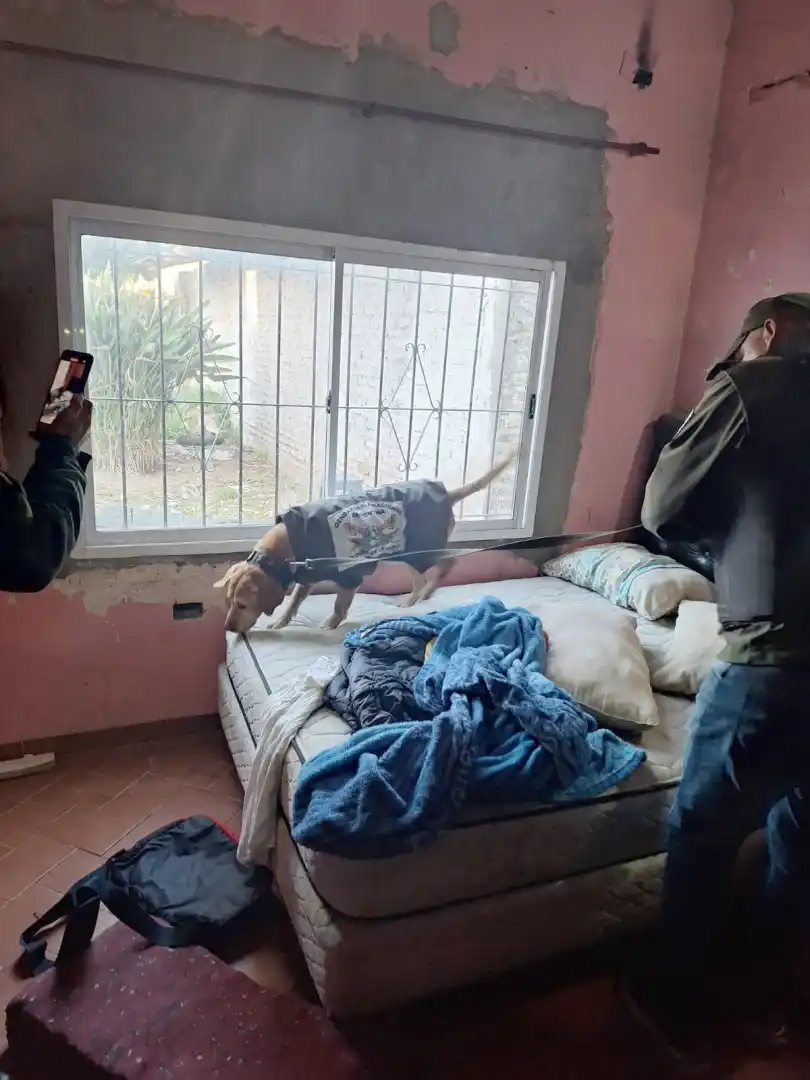 Detenido alias "Mascarita"