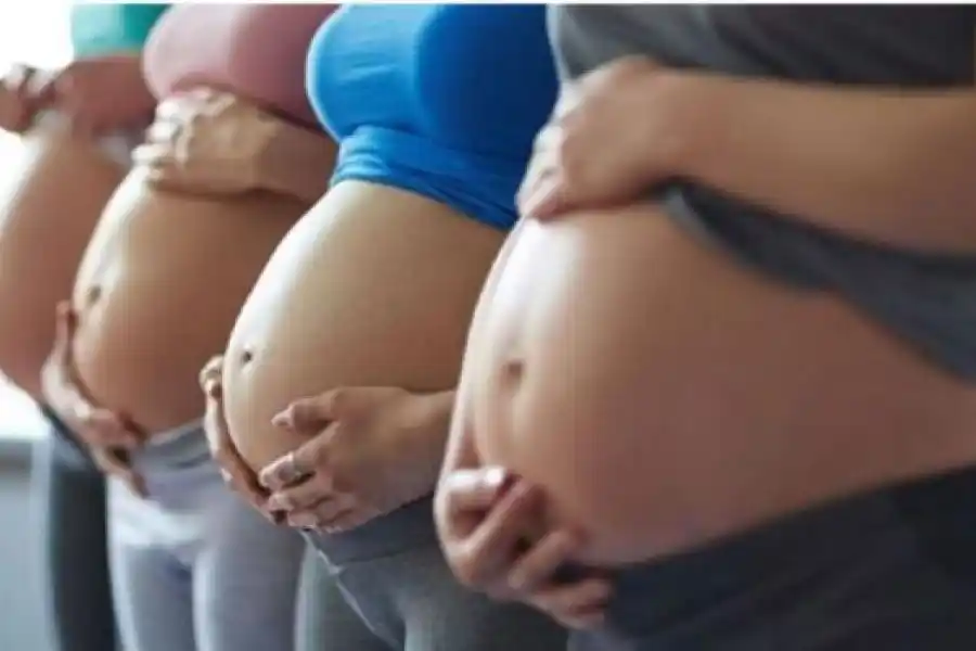 Plan de los 1000 días: presentaron los indicadores sanitarios