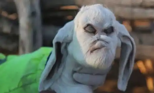 Misterio y conmoción por el nacimiento de un cabrito con rasgos humanos