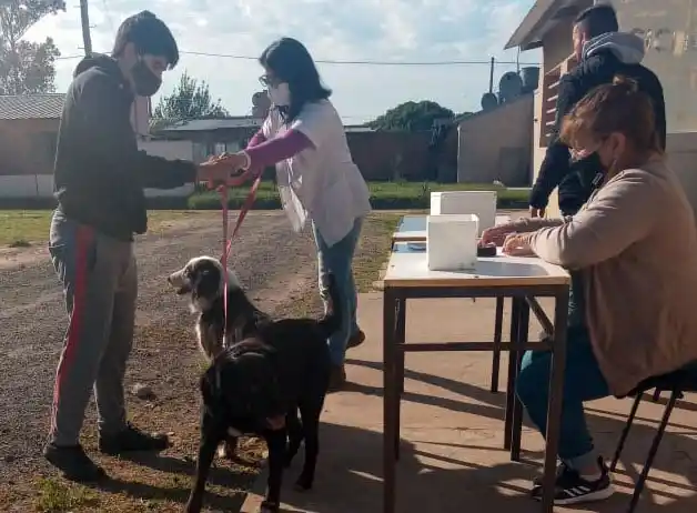 Hubo un operativo de vacunas en la sede del CIC