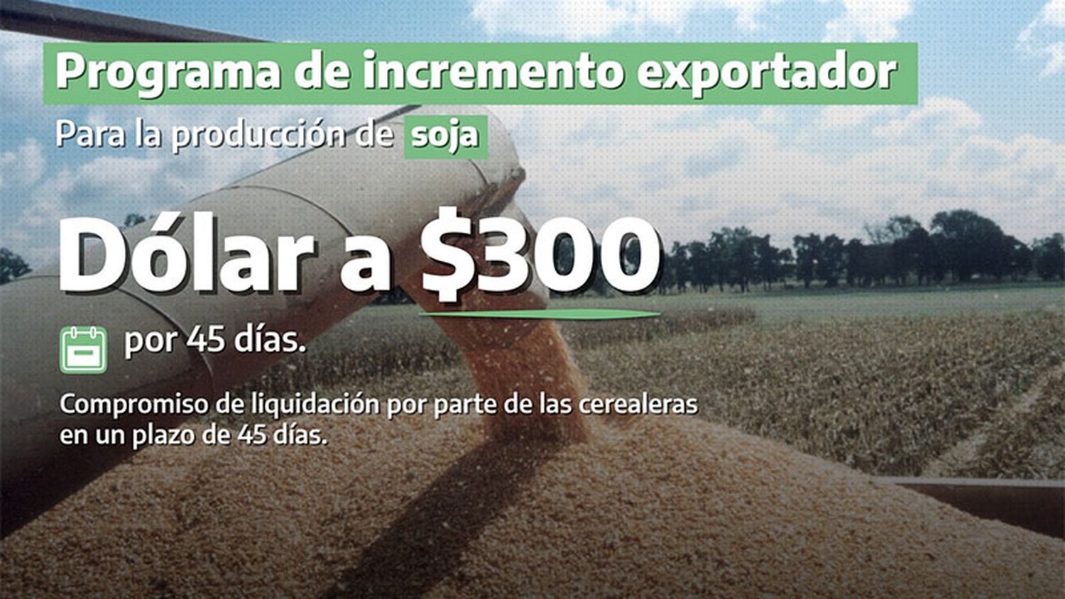 Entra en vigencia el nuevo dólar agro: el decreto publicado por el gobierno