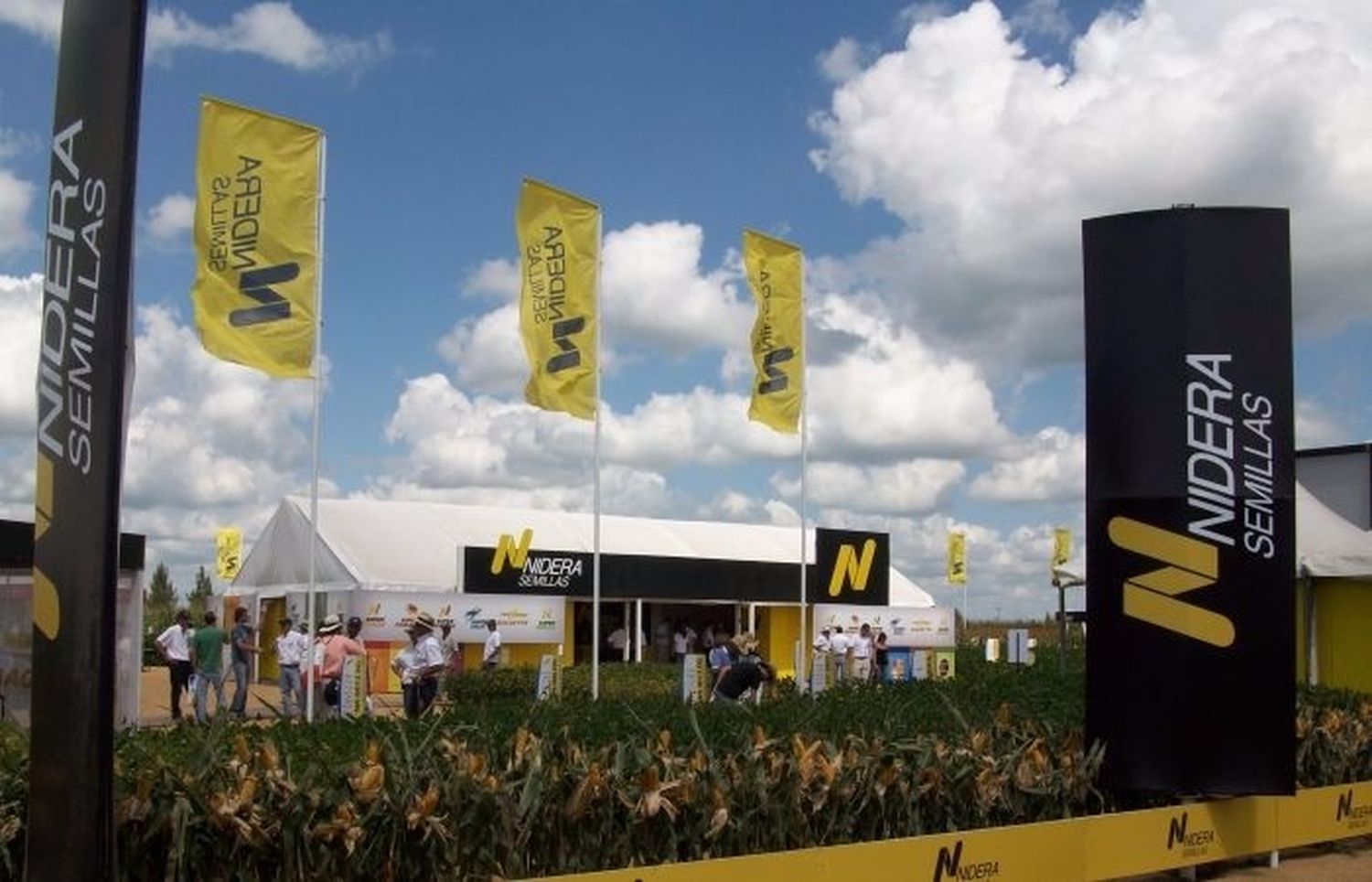 Nidera cerró su planta de Miramar: Es la tercera que cierra en la Provincia y ya suma 300 despedidos