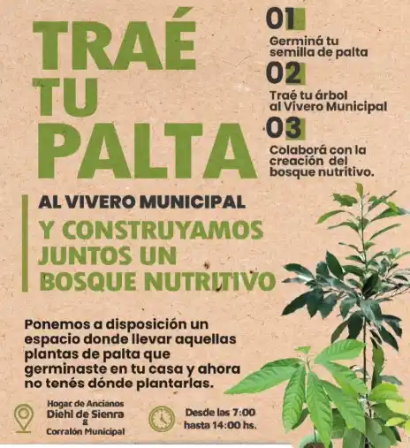 traé tu palta