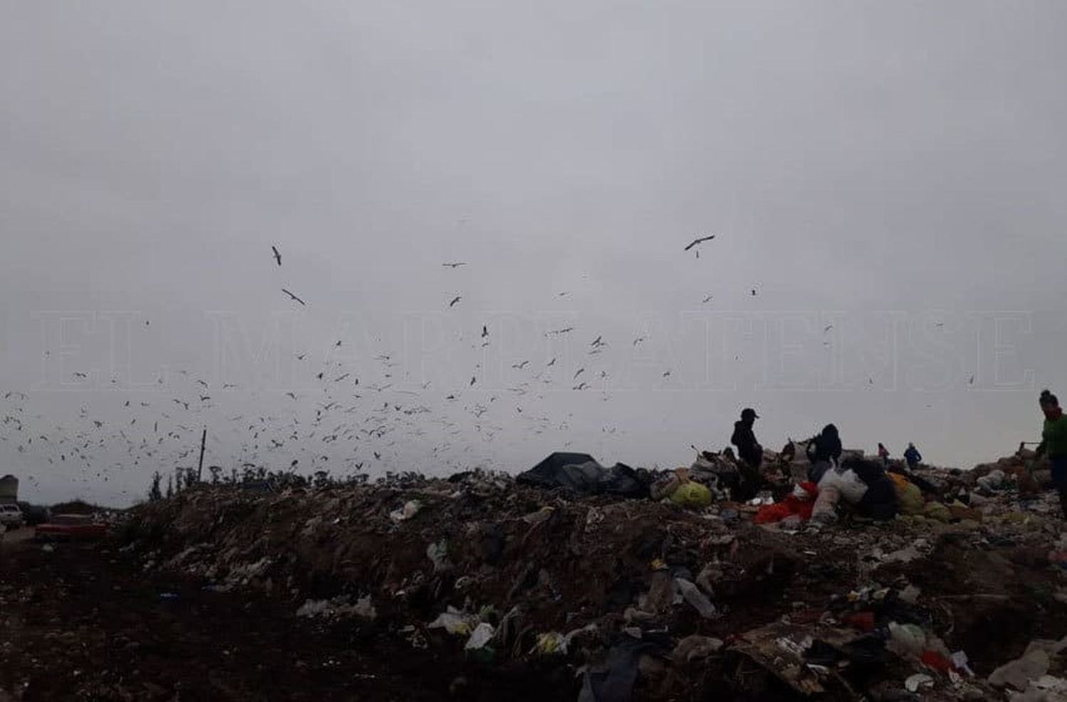 Denuncian que no permiten el ingreso de recicladores al basural