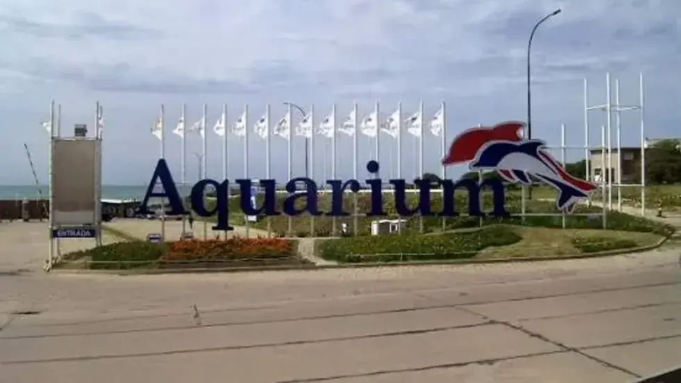 El Aquarium de Mar del Plata vendió sus últimos pingüinos y cerrará sus puertas