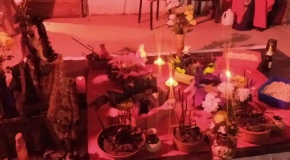 La Policía rescató a unos 40 animales que iban a ser sacrificados en una sesión umbanda