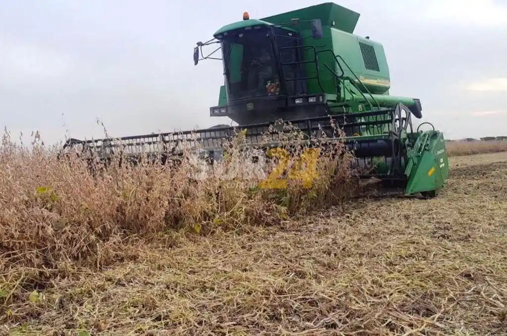 El mejor nivel de exportaciones santafesinas medidas en dólares desde 2011 