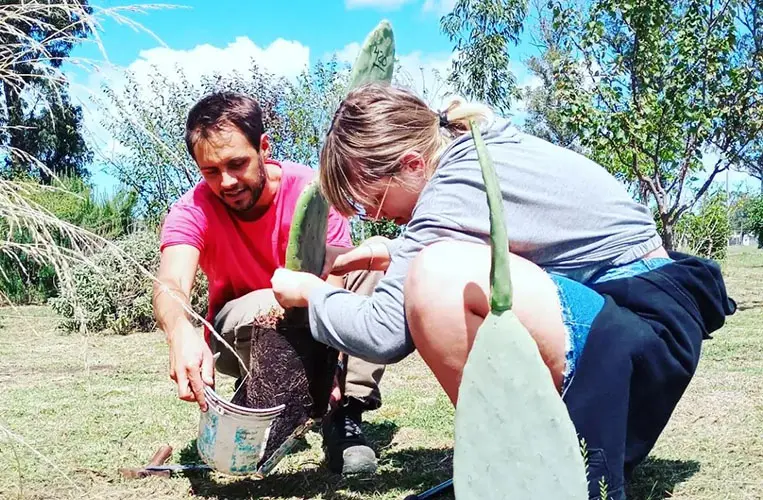 Se reactivan las tareas en la huerta del Hospital