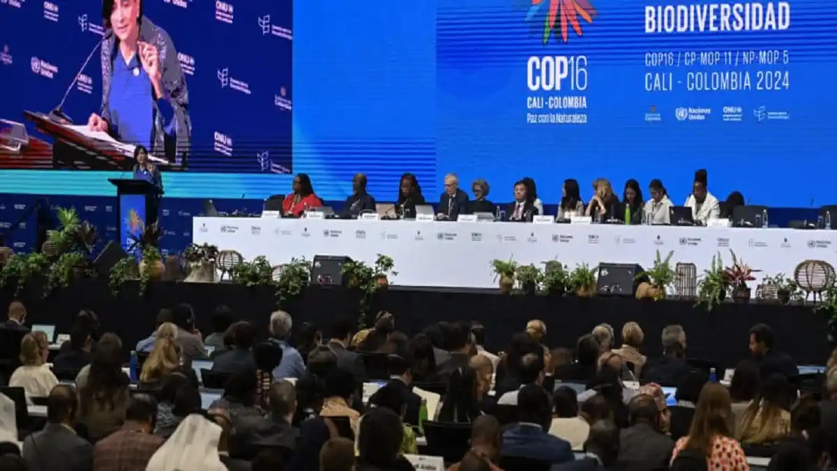 Pesos pesados llegan a Cali para cerrar negociaciones de la ONU sobre biodiversidad