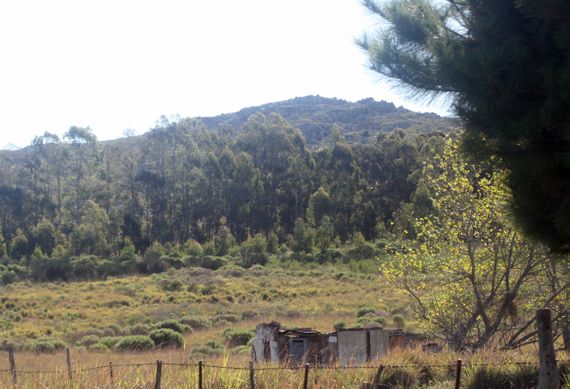 La Comisión de Auxilio agradeció la colaboración de vecinos en un reciente operativo de rescate